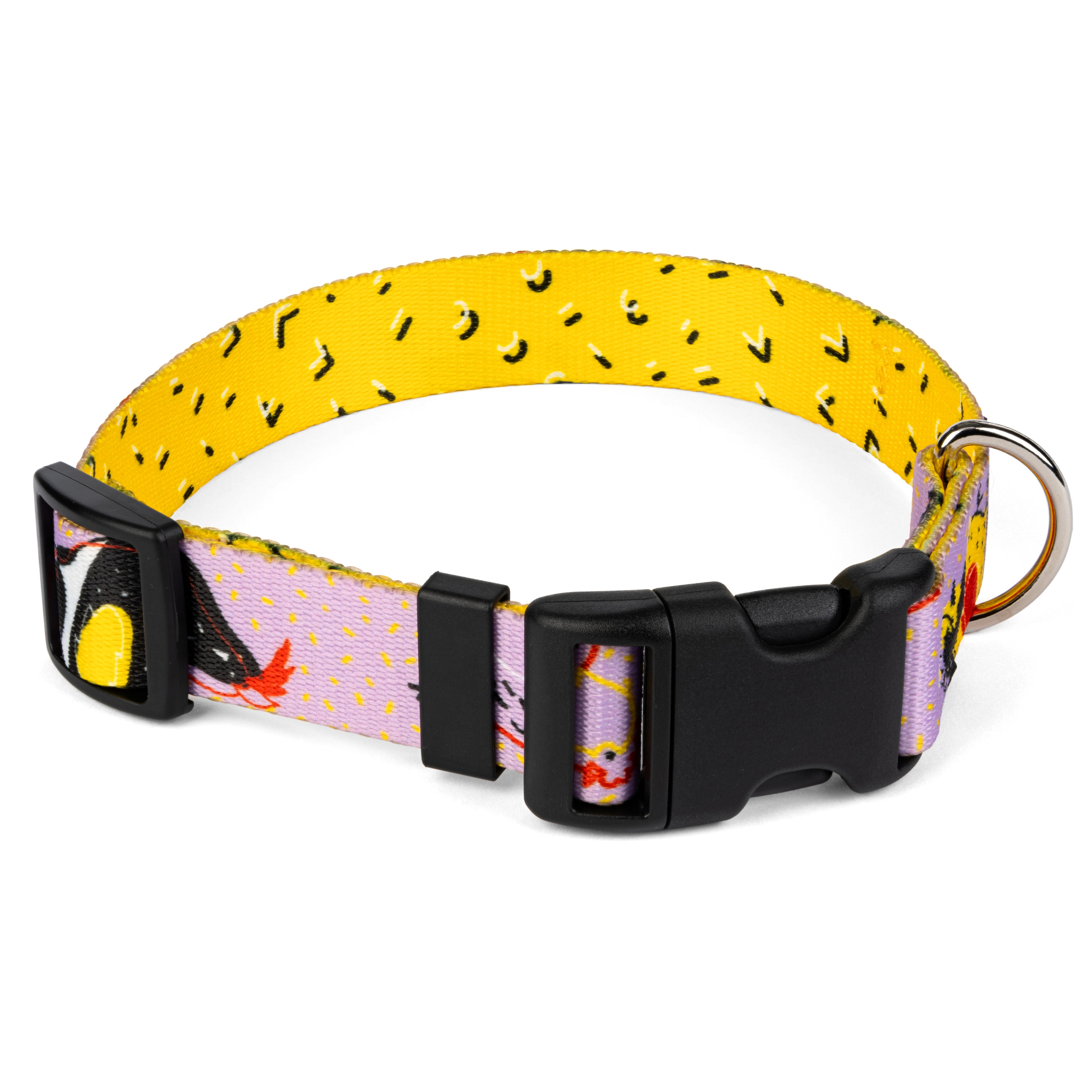 Obojek pro psy s přezkou – Kury