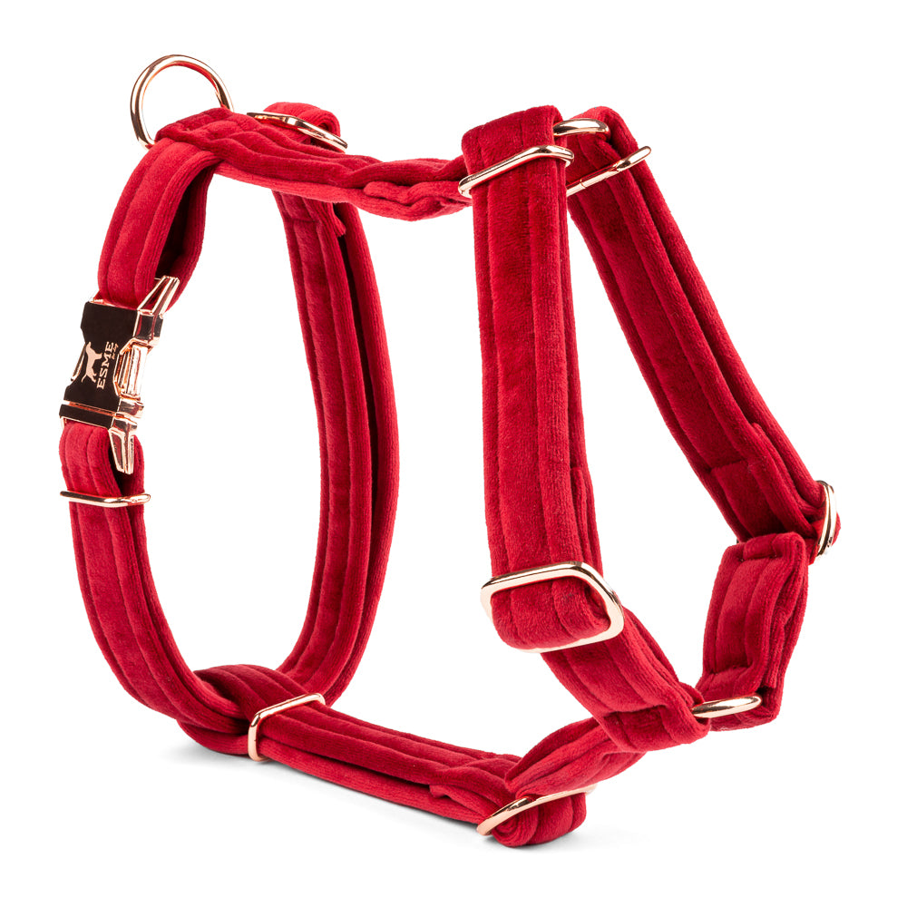 Velurový postroj pro psa Beauty Velour - Cherry