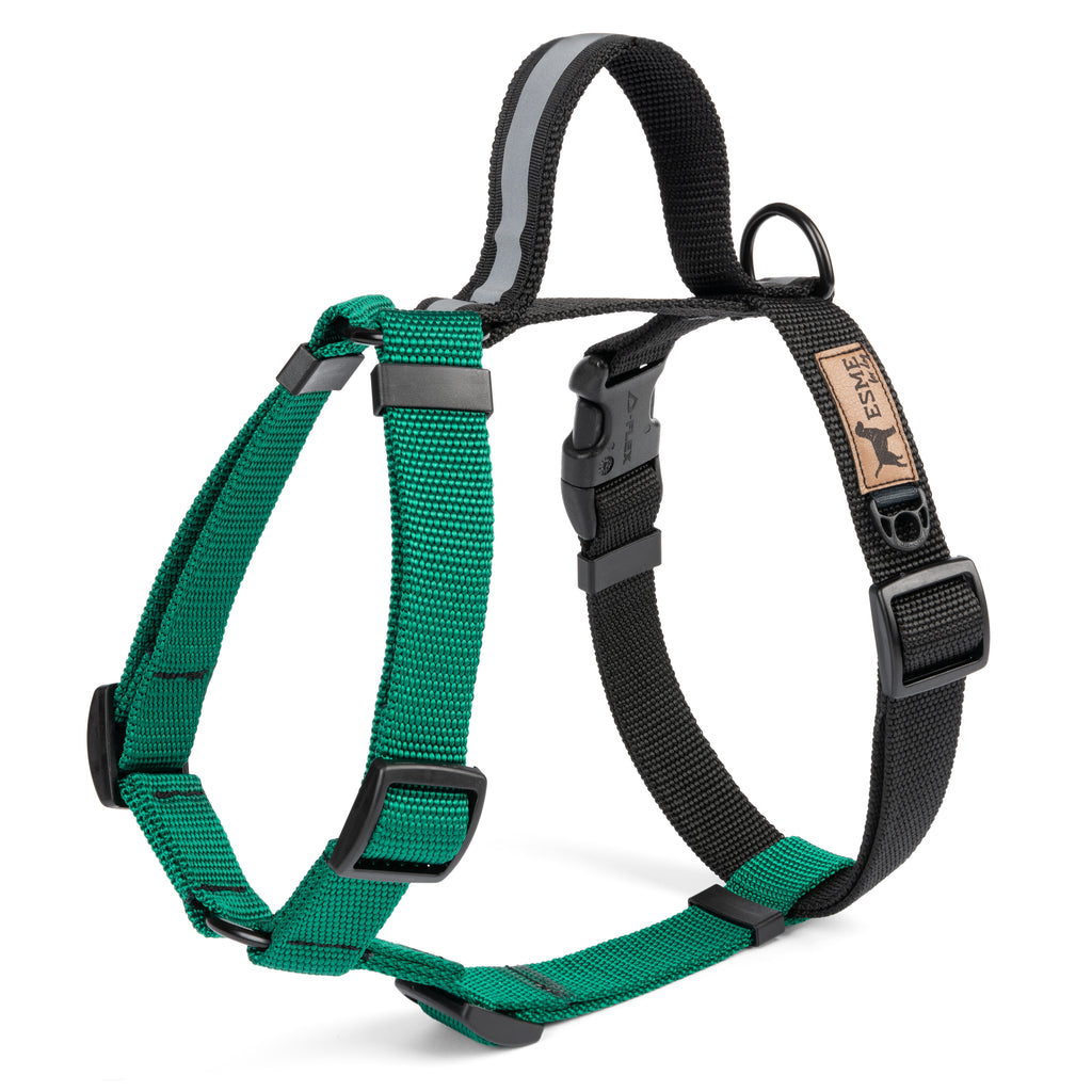 Postroje typu Guard pro psy – Sport Comfort - Green