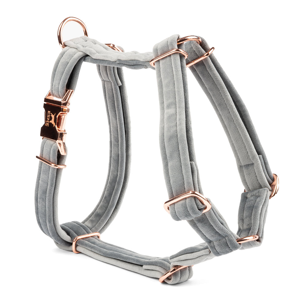 Velurový postroj pro psa Beauty Velour - Platinum