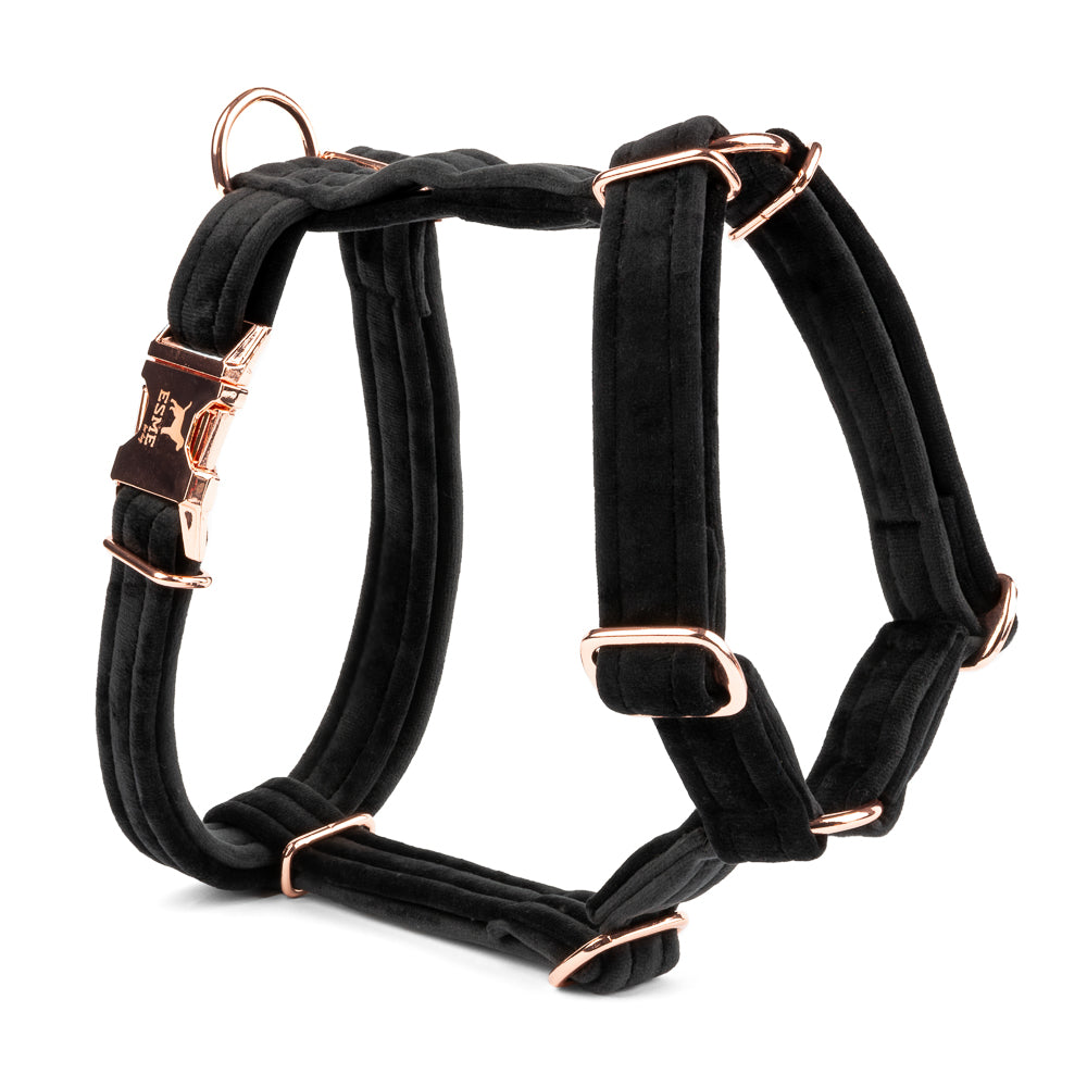 Velurový postroj pro psa Beauty Velour - Onyx