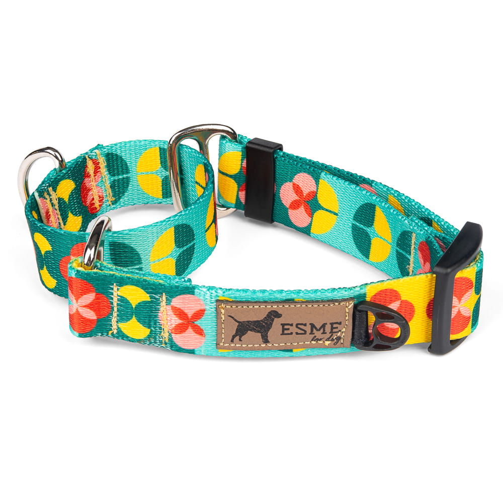 Obojek pro psy Martingale - Vertigo