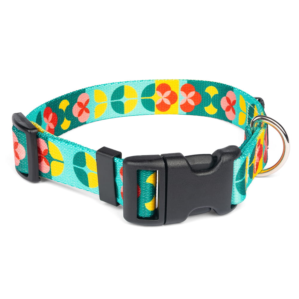 Obojek pro psy s přezkou – Vertigo