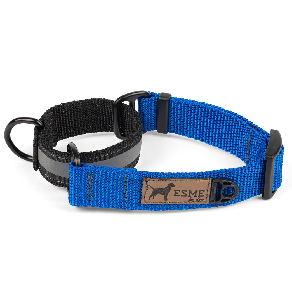Obojek pro psy Martingale Sport Comfort – BLUE
