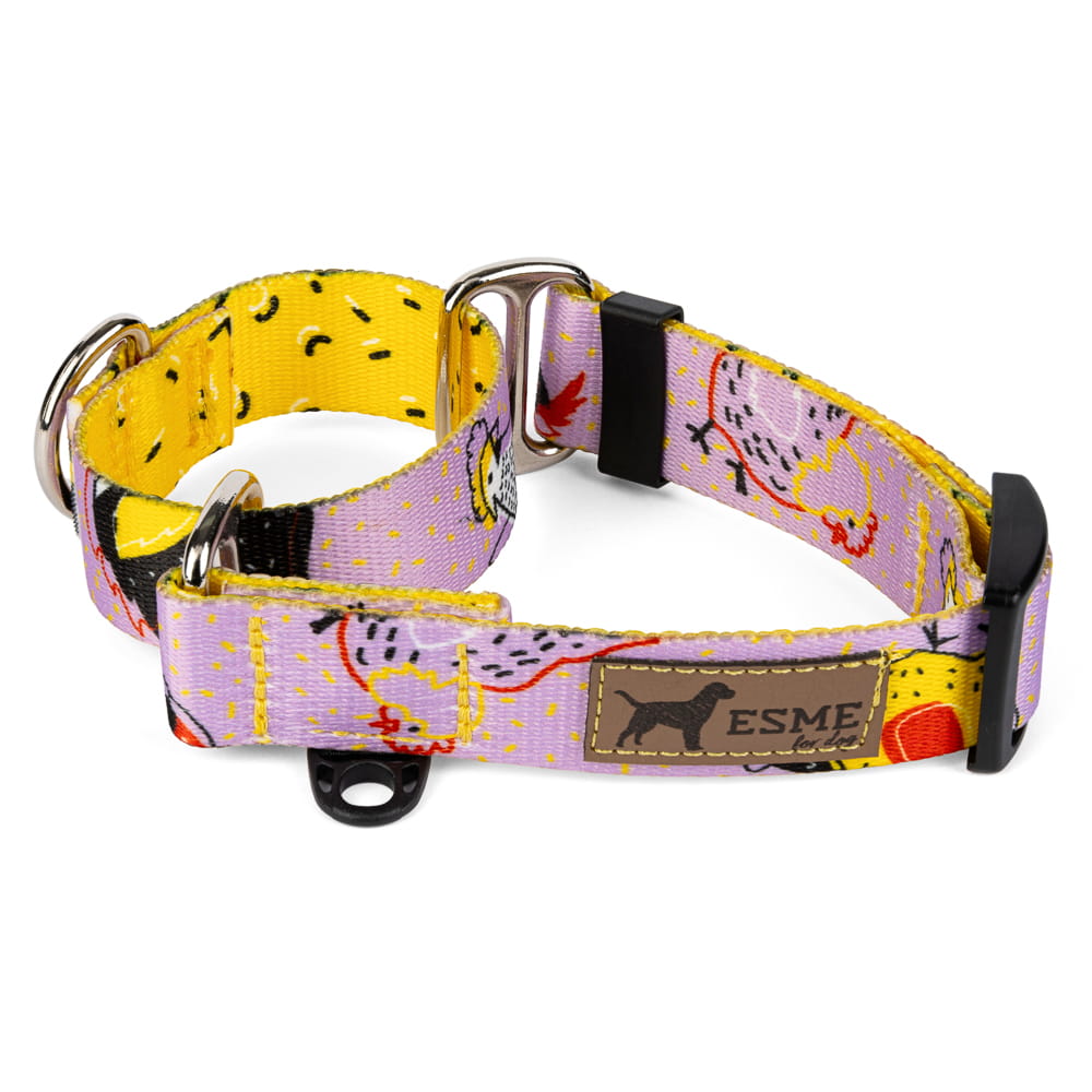 Obojek pro psy Martingale - Kury