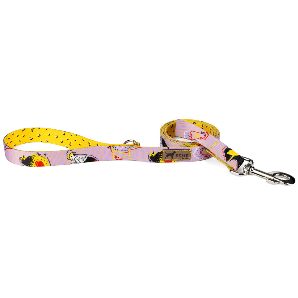 Klasické vodítko pro psa - Kury