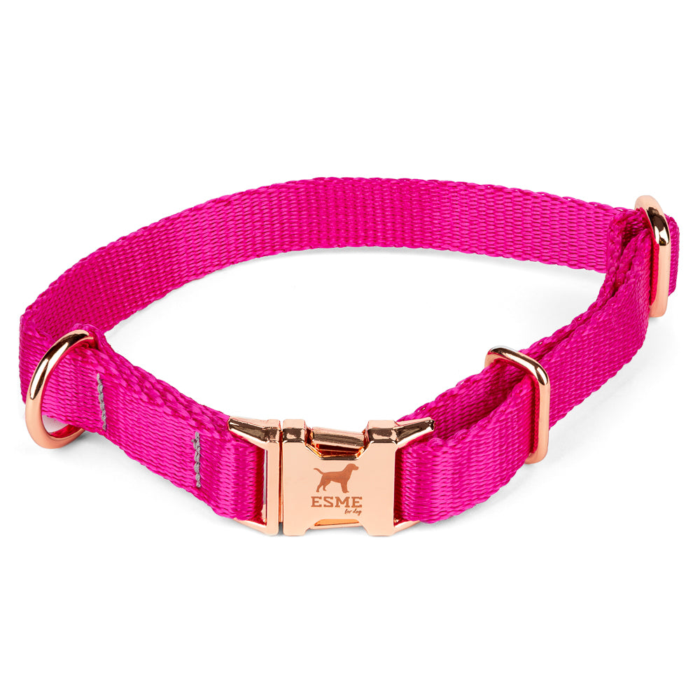 Obojek pro malé psy – Fuchsia