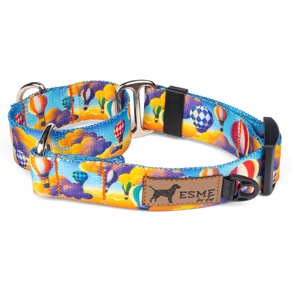 Obojek pro psy Martingale - Arizona