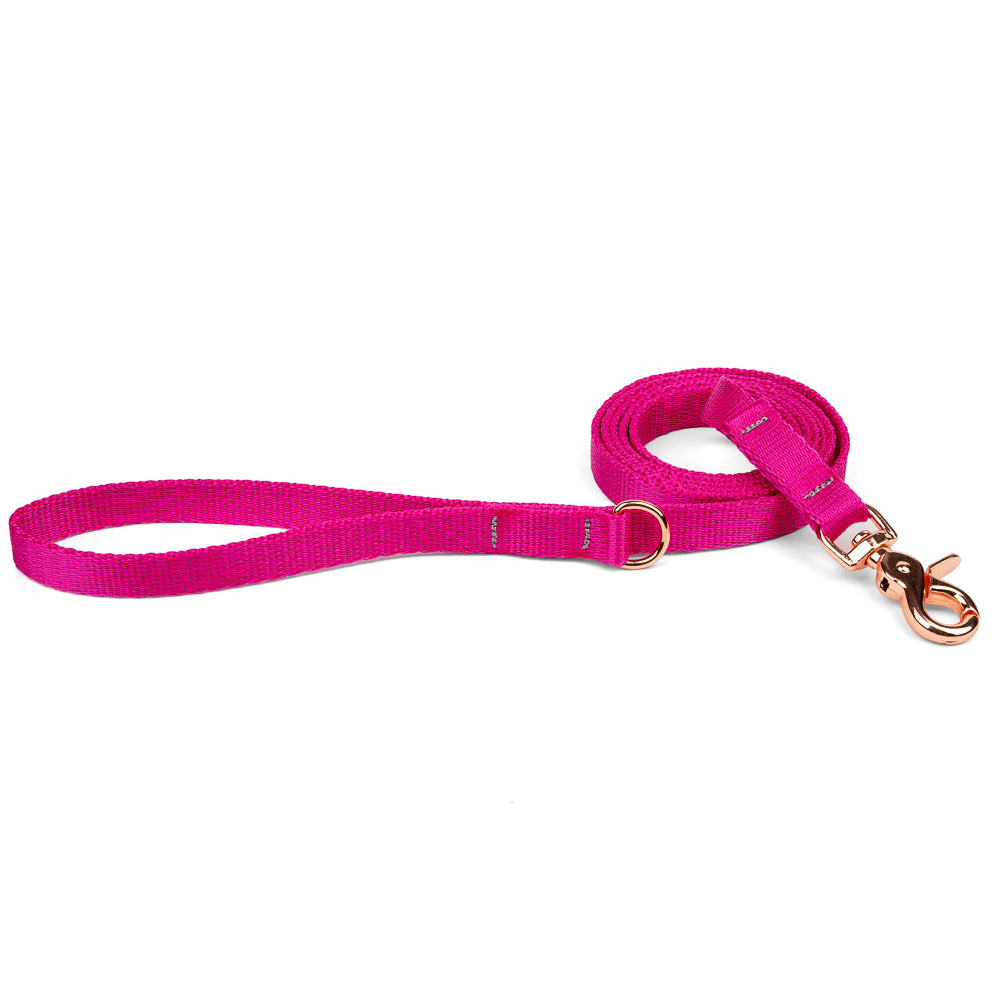 Vodítko pro malého psa – Fuchsia