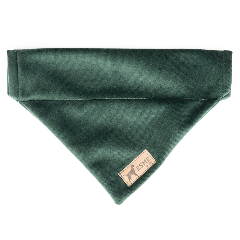 Sametová bandana pro psa – Avocado