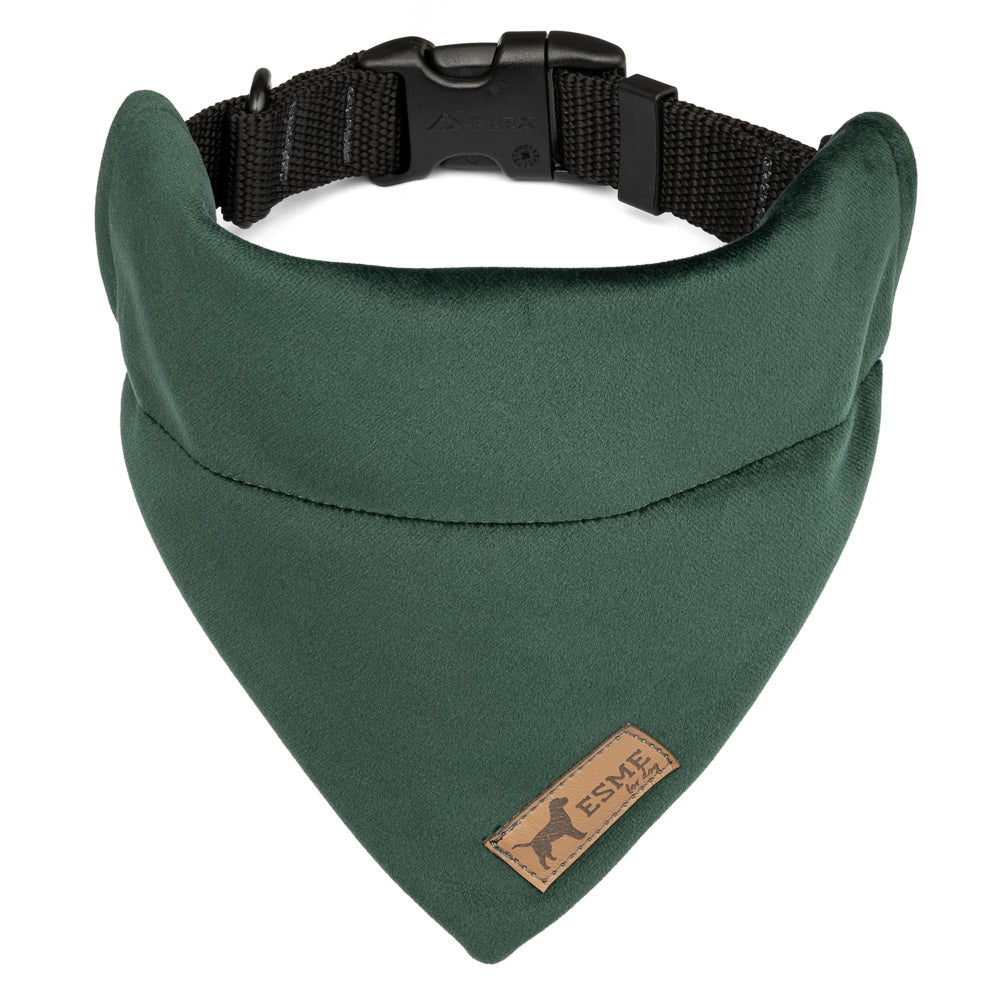 Sametová bandana pro psa – Avocado