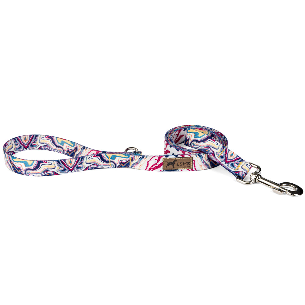 Klasické vodítko pro psa - Twist