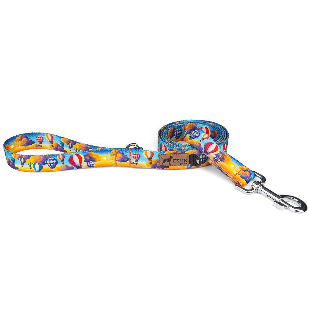 Klasické vodítko pro psa - Arizona