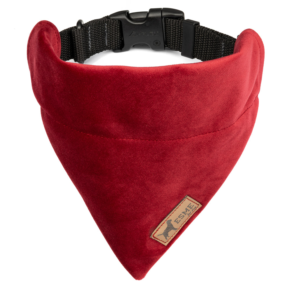Sametová bandana pro psa – Cherry