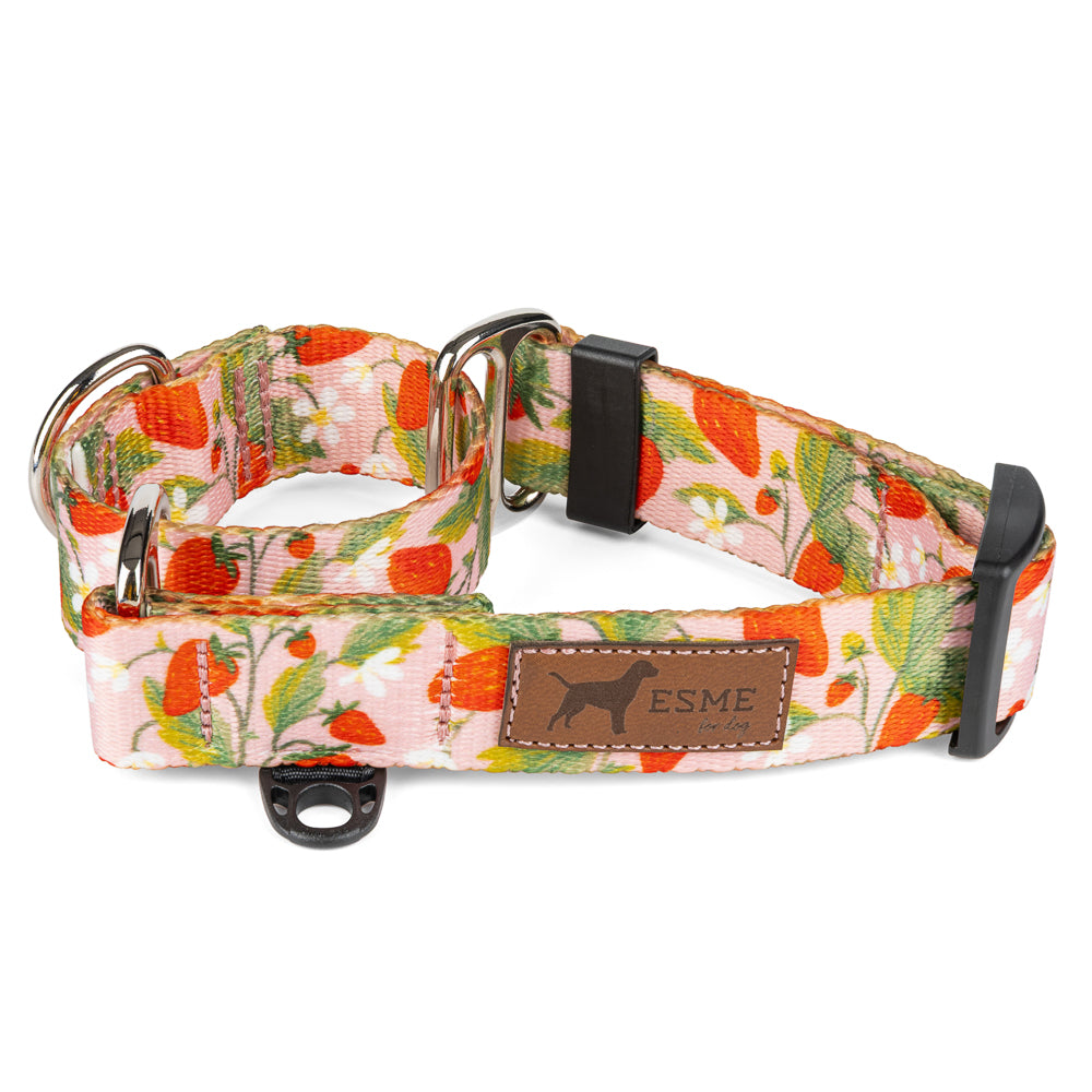 Obojek pro psy Martingale - Sweet Berry