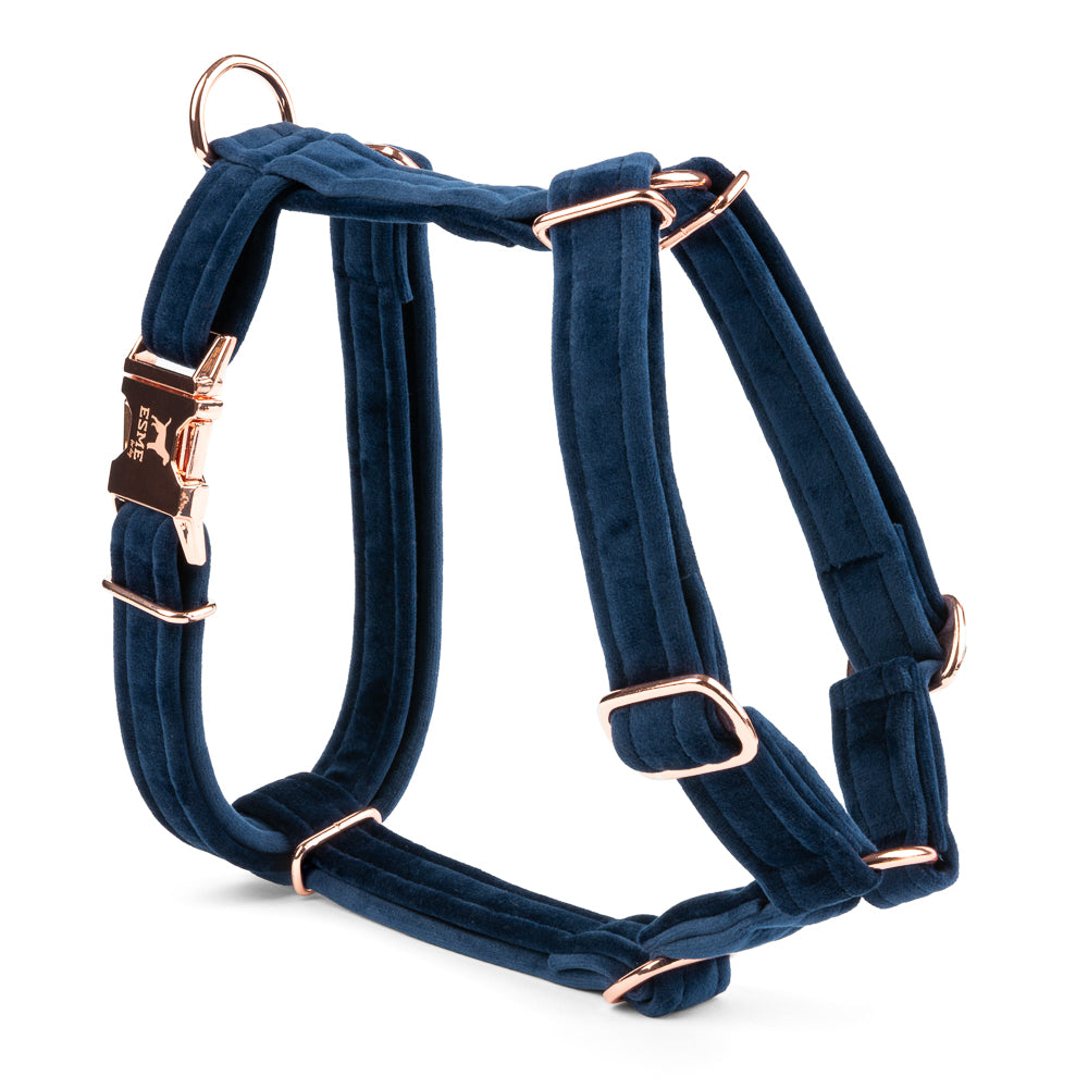 Velurový postroj pro psa Beauty Velour – Indygo