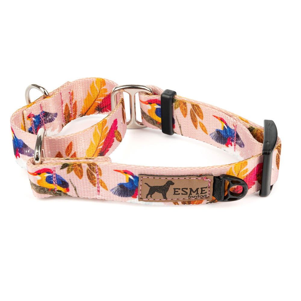 Obojek pro psy Martingale - Firebird Pink