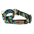 Obojek pro psy Martingale - Firebird Black