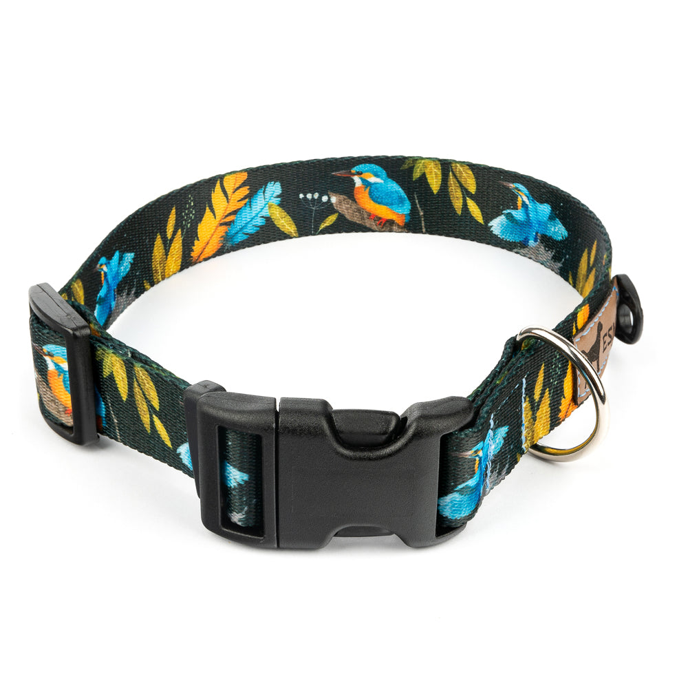 Obojek pro psy s přezkou – Firebird Black