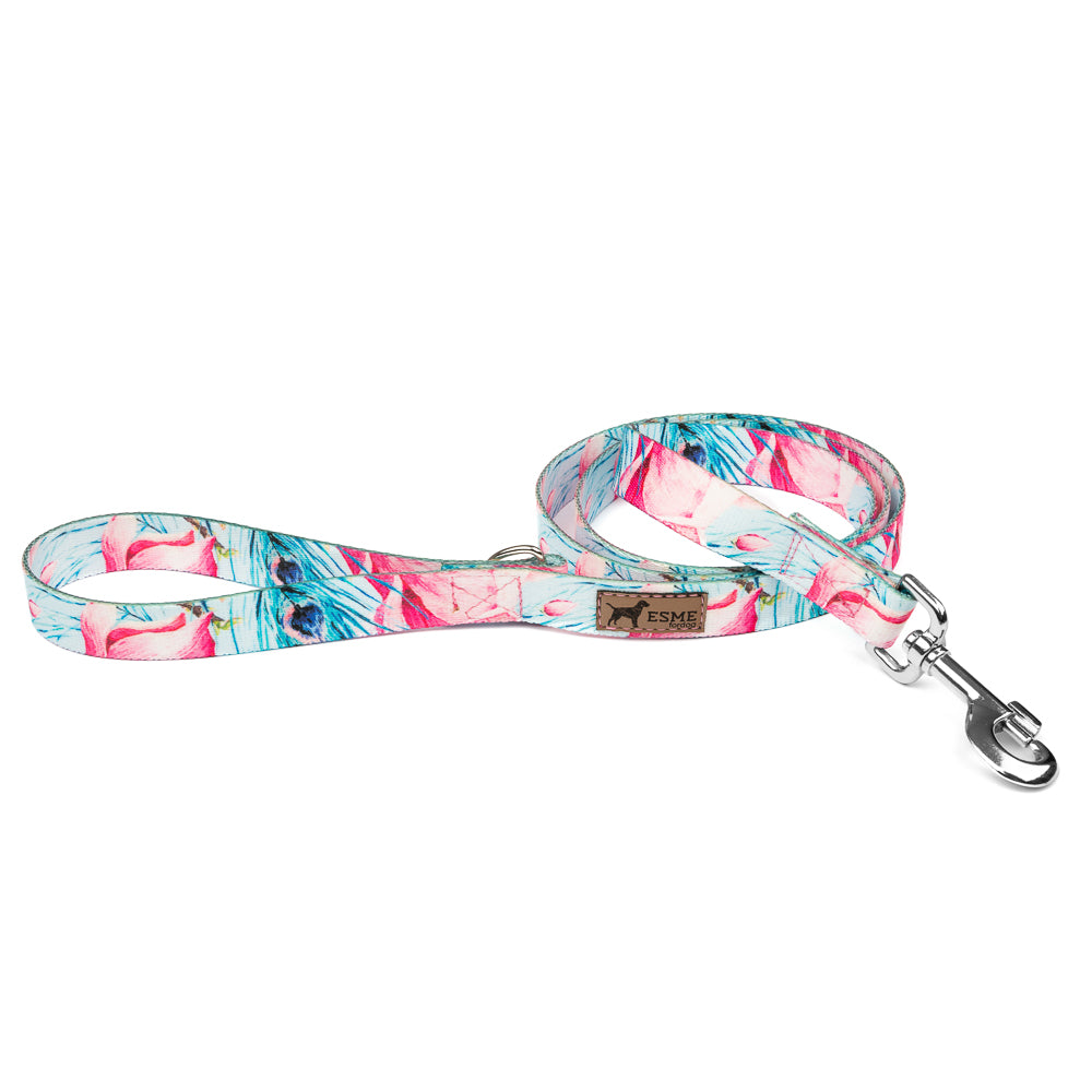 Klasické vodítko pro psa - Lady Peacock