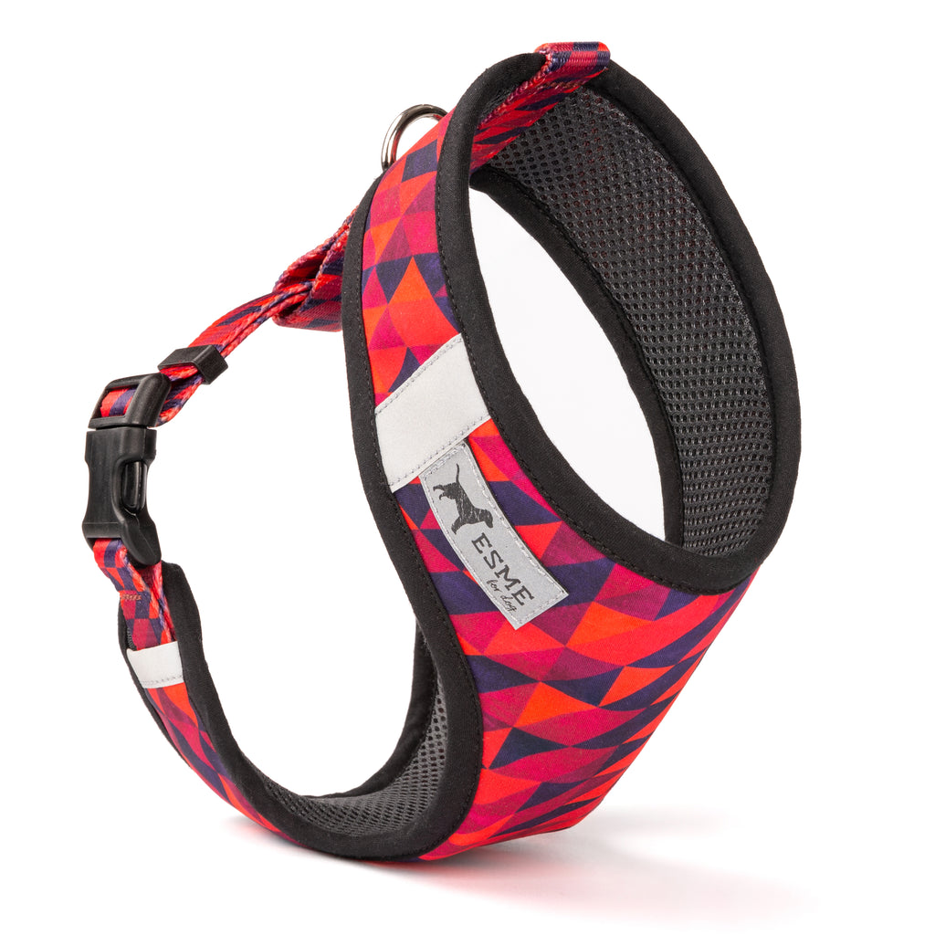 Polstrovaný postroj Soft Air pro mikro a malé psy – Rude Boy