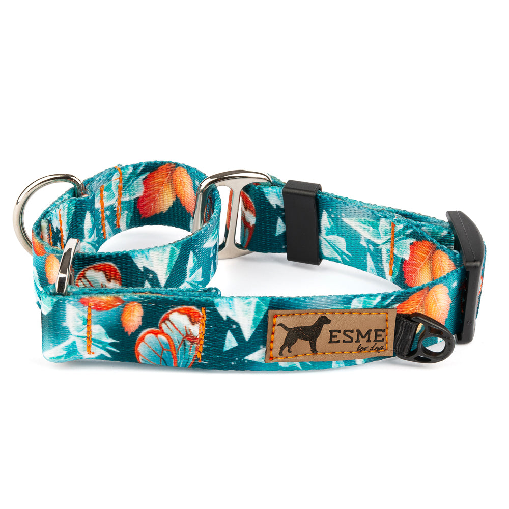 Obojek pro psy Martingale - Orange Tiger