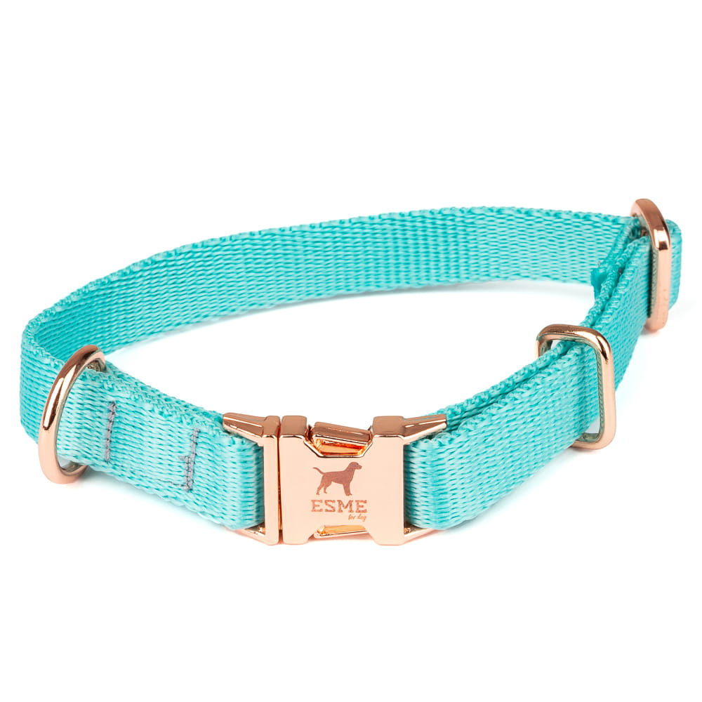 Obojek pro malé psy – Lagoon