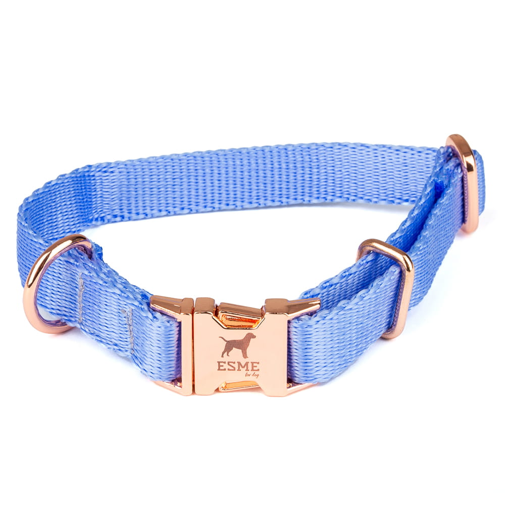 Obojek pro malé psy – Ocean