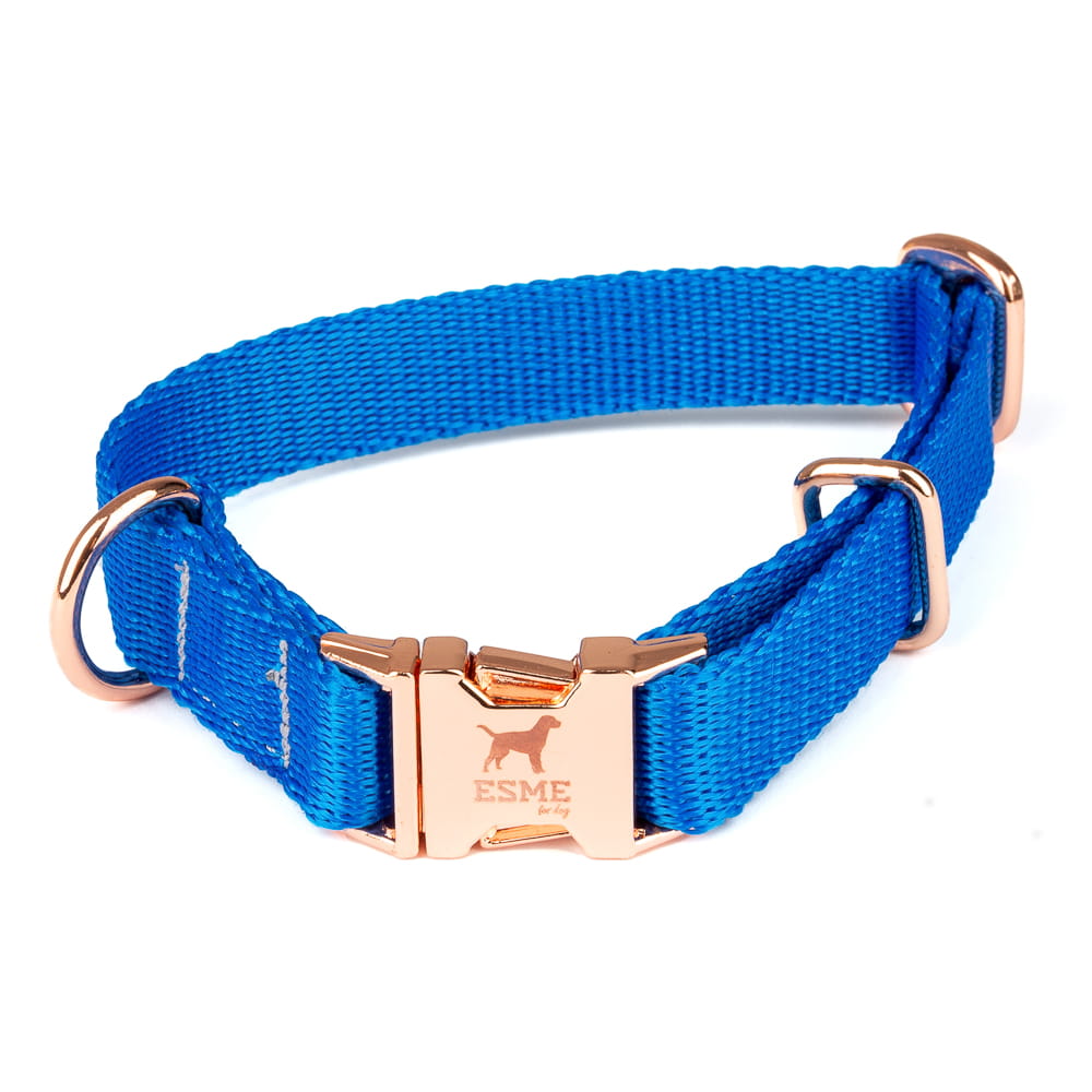 Obojek pro malé psy – Cobalt