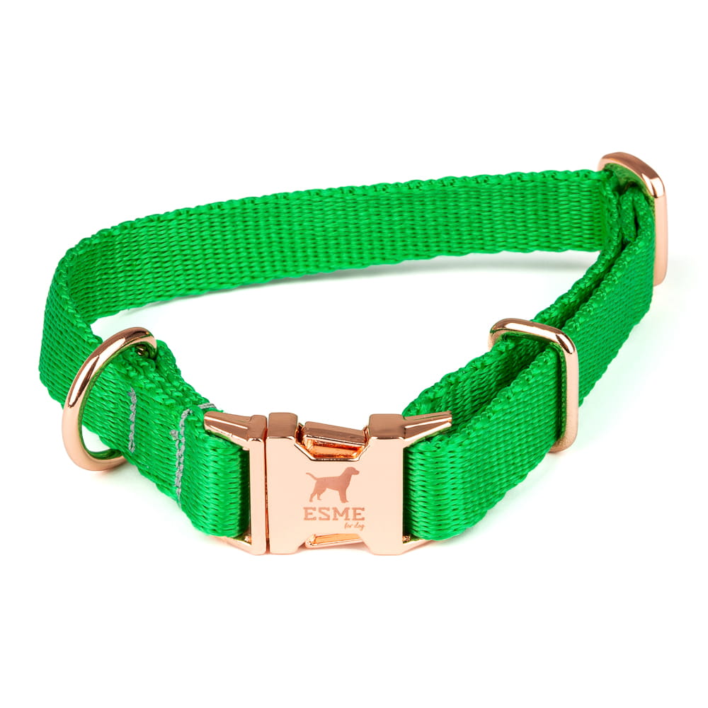 Obojek pro malé psy – Forest