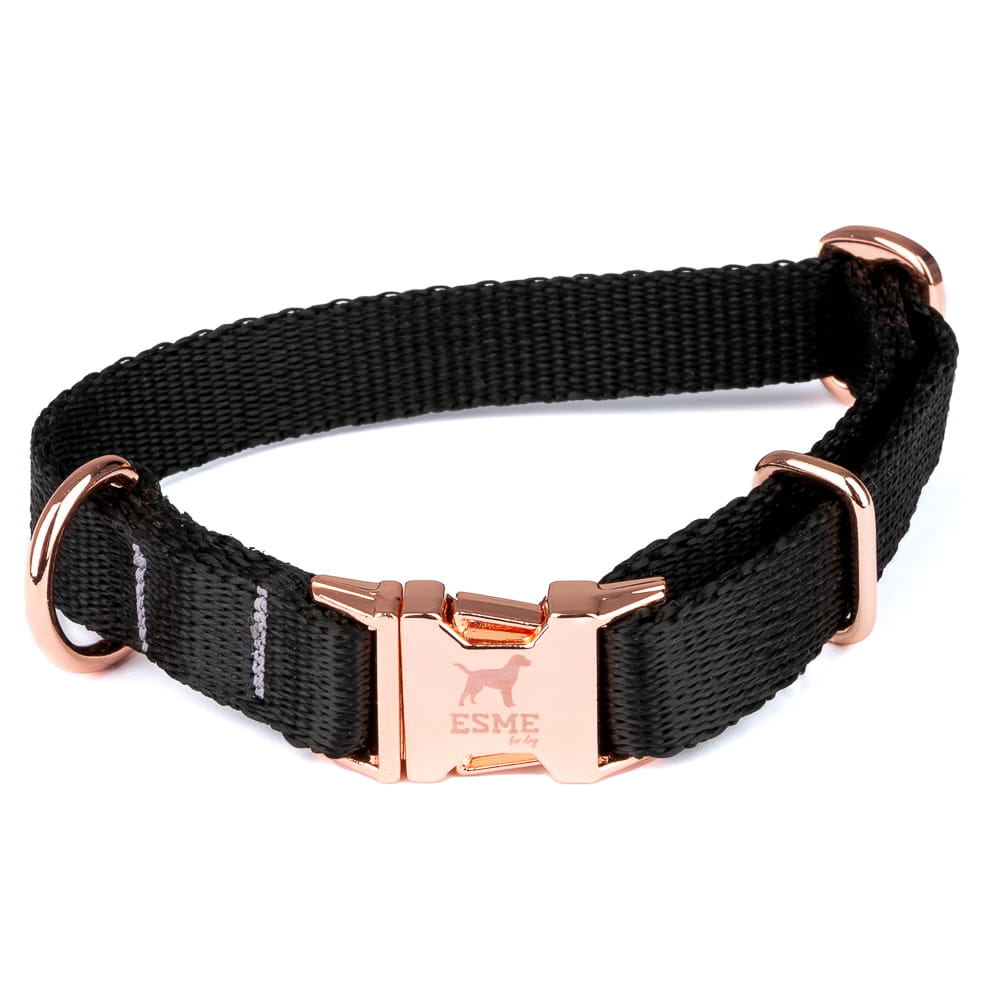 Obojek pro malé psy – Jet Black