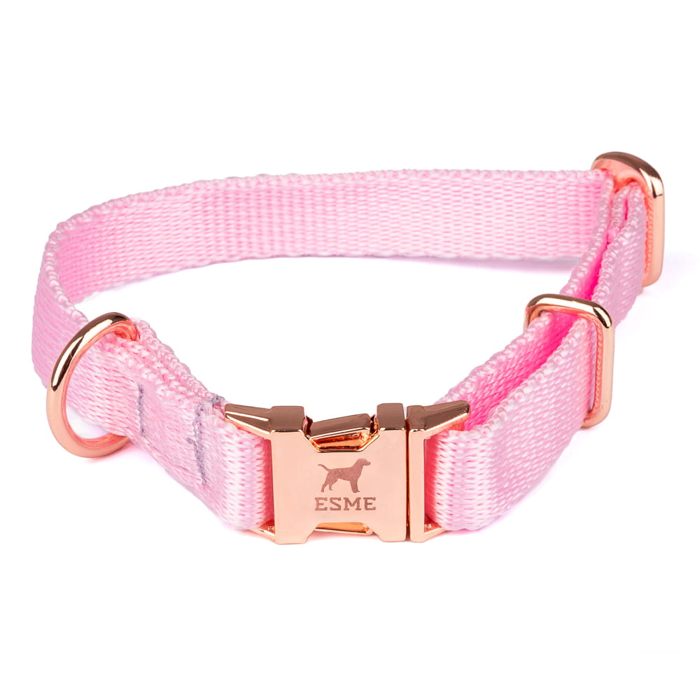Obojek pro malé psy – Cotton Candy