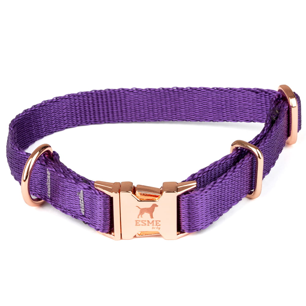 Obojek pro malé psy – Midnight Violet