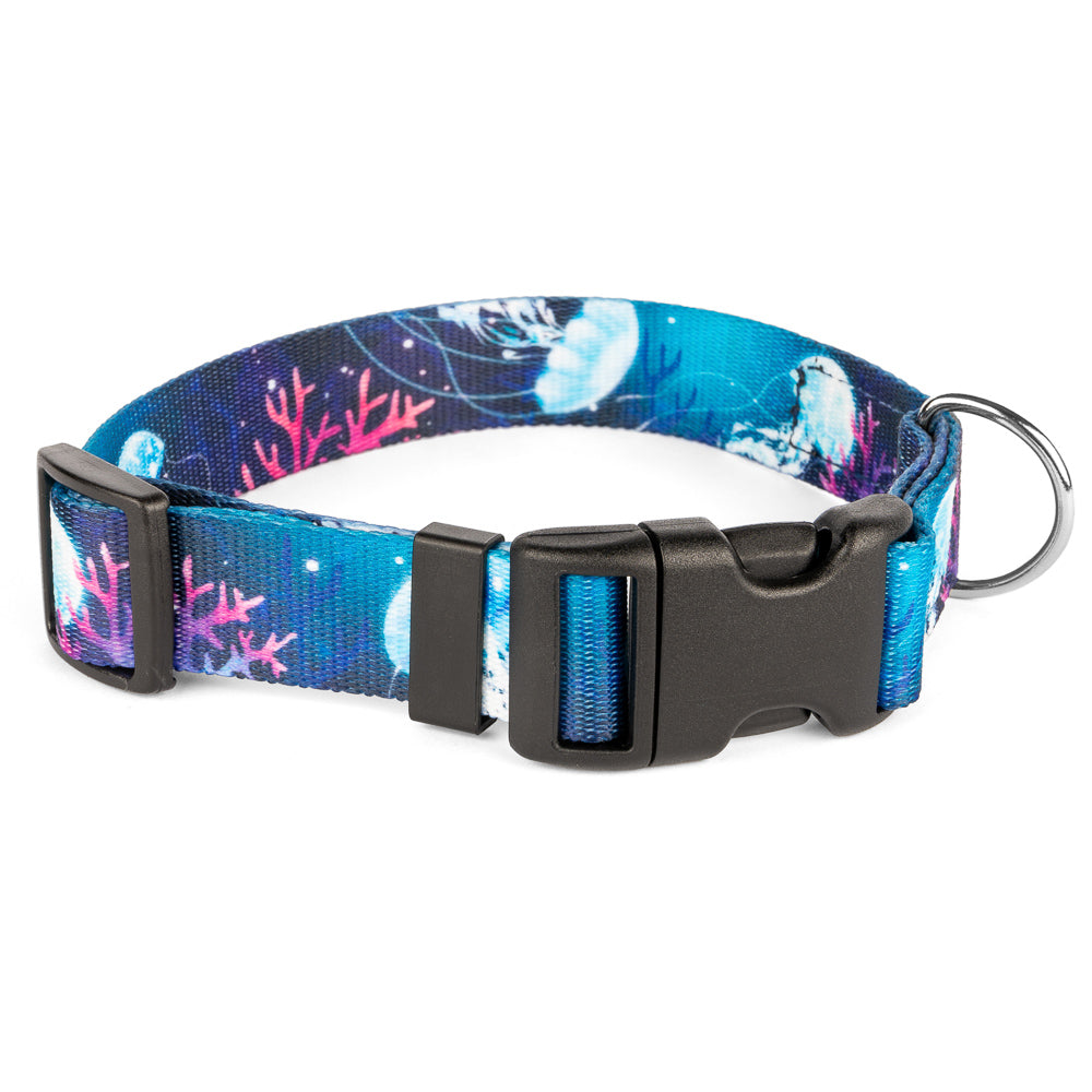 Obojek pro psy s přezkou – Aquarius