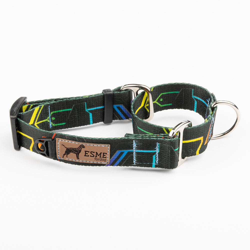 Obojek pro psy Martingale - Cyber Space