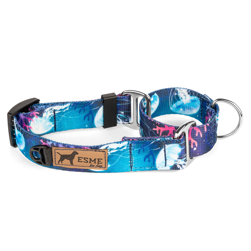 Obojek pro psy Martingale - Aquarius