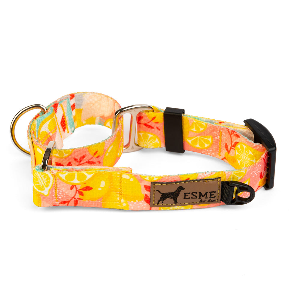 Obojek pro psy Martingale - Lemons