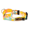 Obojek pro psy Martingale - Lemonade