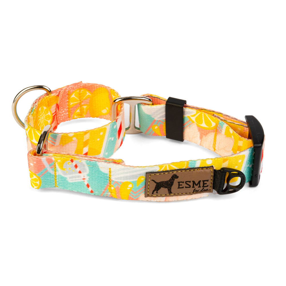 Obojek pro psy Martingale - Lemonade