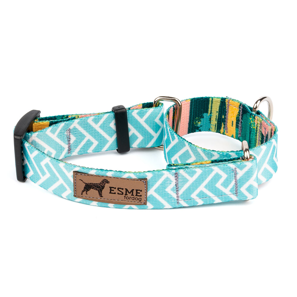 Obojek pro psy Martingale - Arctic Ice