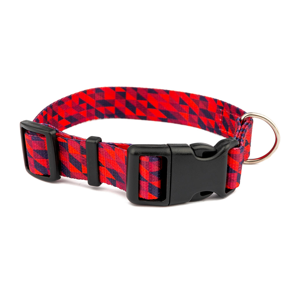 Obojek pro psy s přezkou – Rude Boy