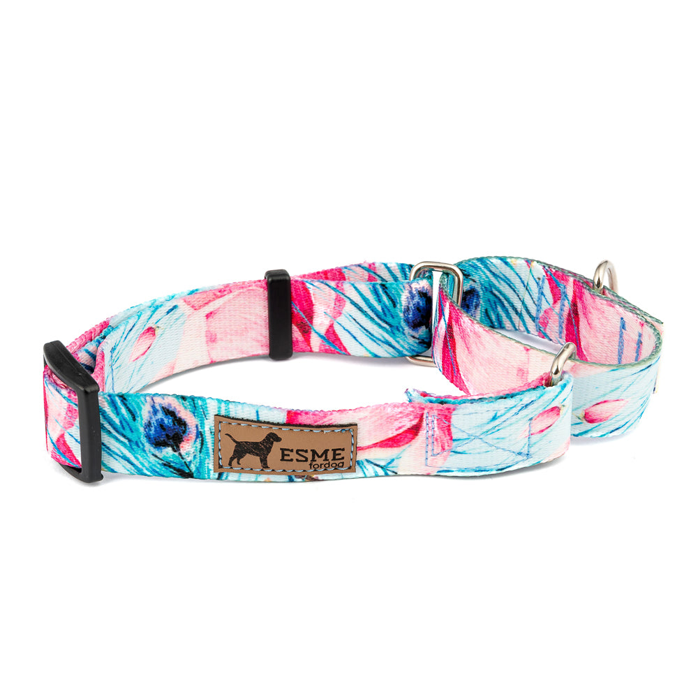 Obojek pro psy Martingale - Lady Peacock