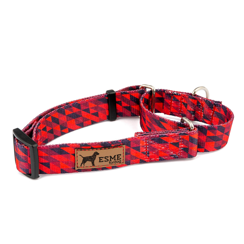 Obojek pro psy Martingale - Rude Boy