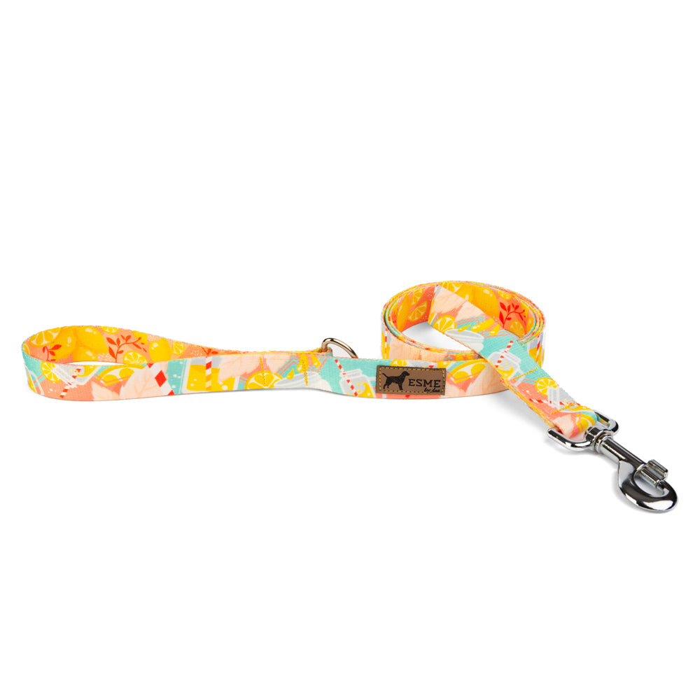 Klasické vodítko pro psa - Lemonade