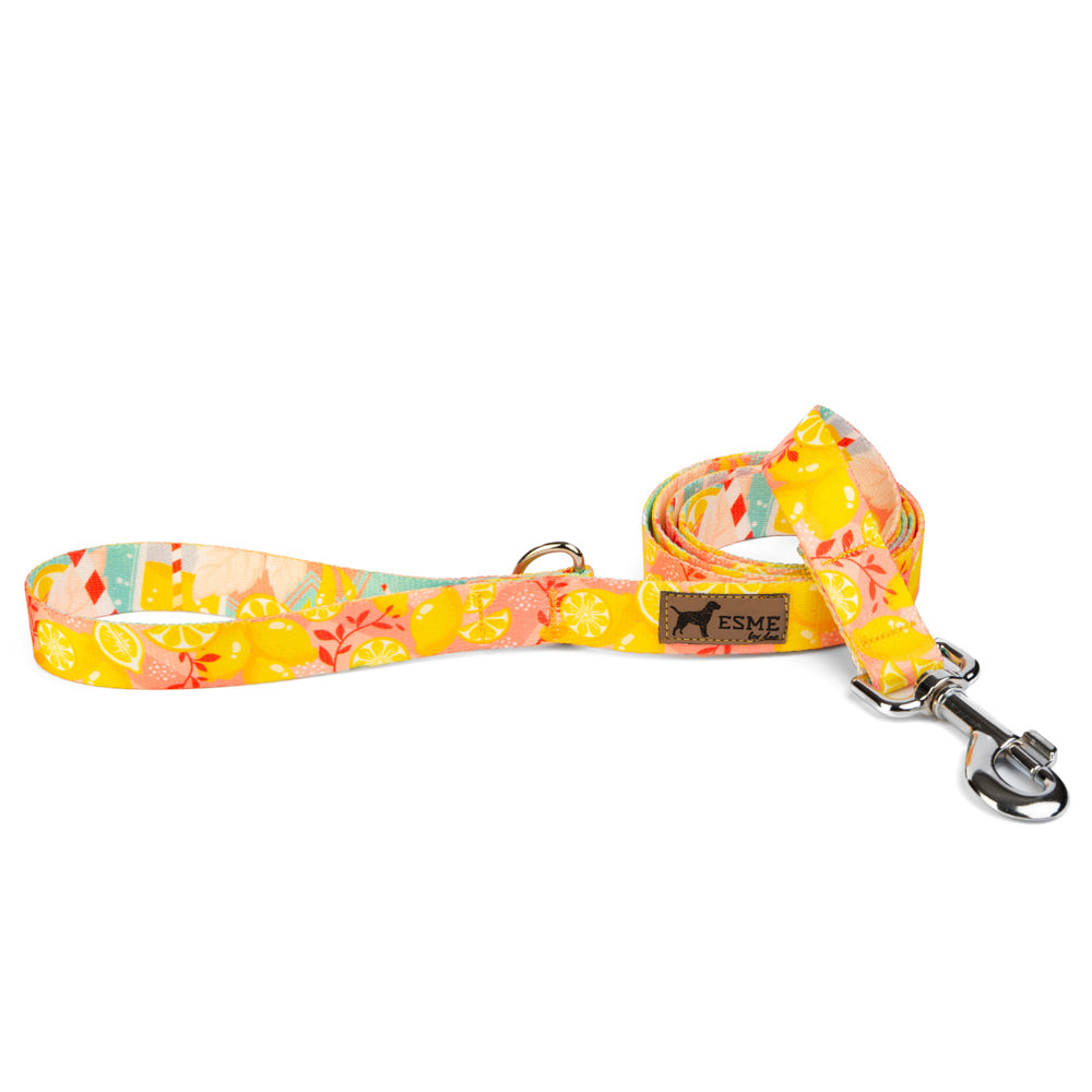 Klasické vodítko pro psa - Lemons