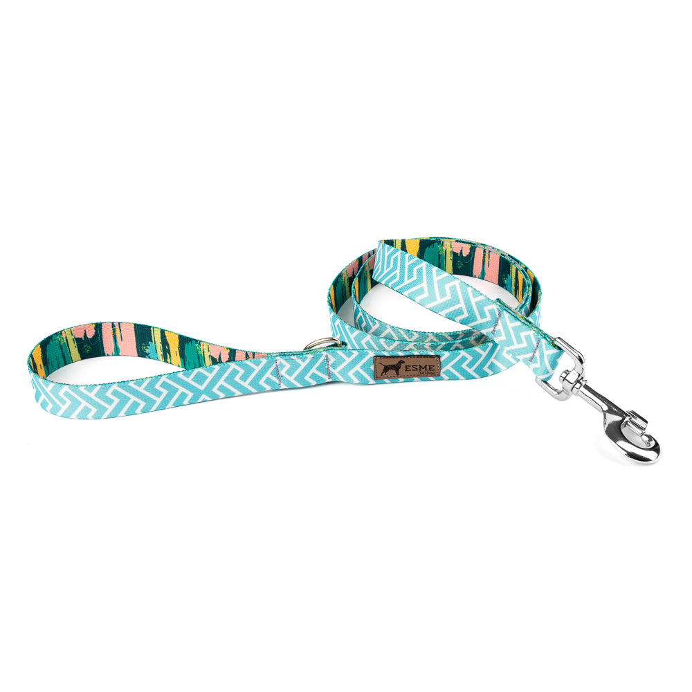 Klasické vodítko pro psa - Arctic Ice