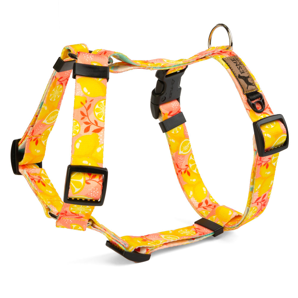 Postroj pro psa typu guard – Lemons
