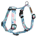 Postroj pro psa typu guard – Blossom